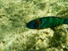 dscn1243