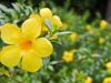 National Botanical Gardens