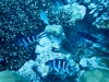 dscn2180