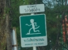 Monkey on road!