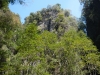 Inside the Mangrove cave