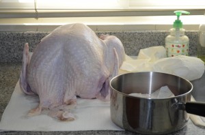 Turkey all cleaned up, ready to be prepped.
